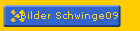Bilder Schwinge09