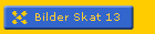 Bilder Skat 13